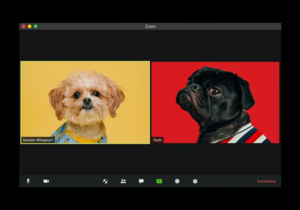 collaborate-and-connect-like-a-pro